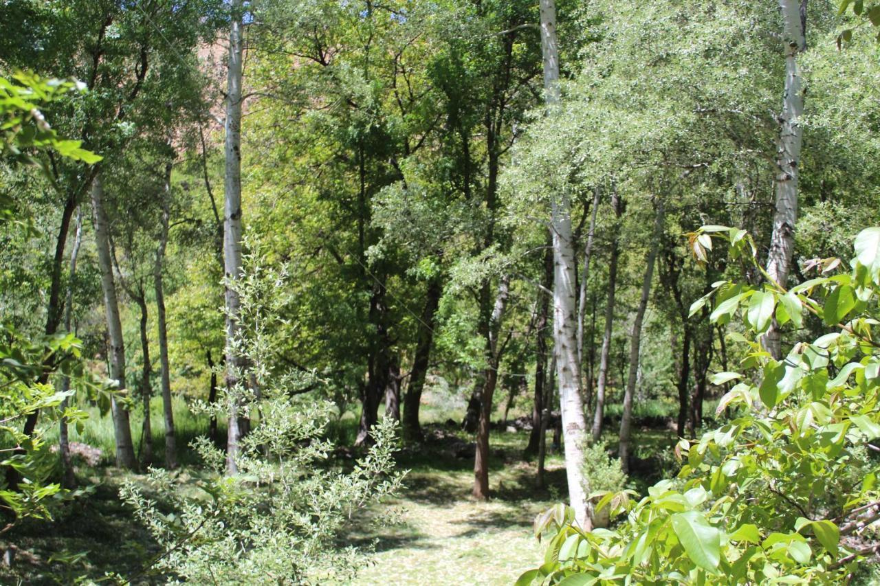 Auberge Toubkal Amsouzart Aitst Idar Tizgui Exterior foto